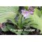 Green Thumb