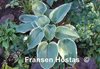 Frosted Jade